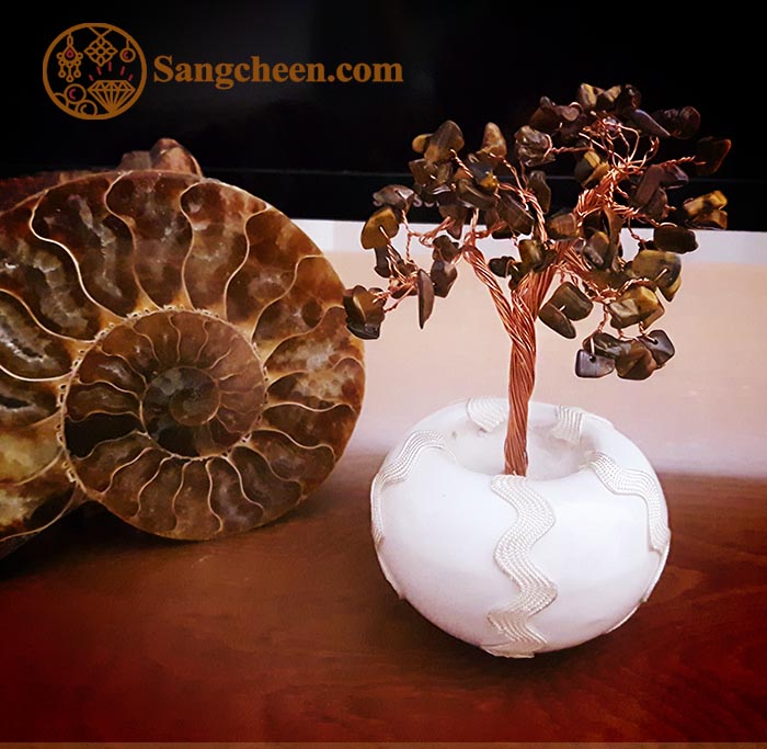 خواص چشم ببر