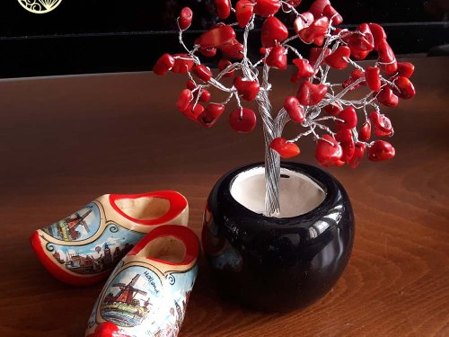 درختچه سنگی مرجان طبیعی
